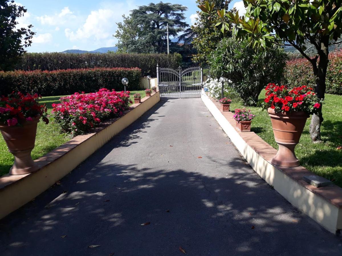 Villa Monica ปิสโตยา ภายนอก รูปภาพ